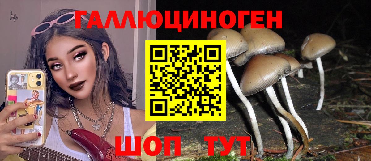 Галлюциногенные грибы ЛСД  Вход с VPN  Каменка  Псилоцибиновые грибы мухоморы 